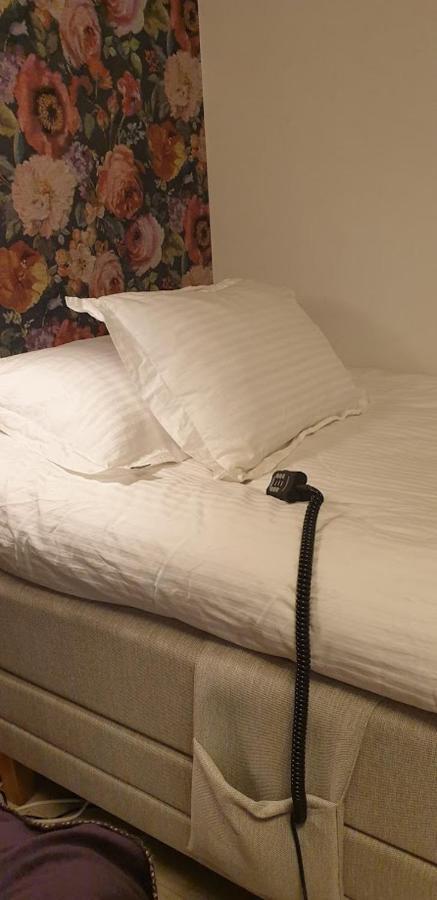 Woodstock B & B Studios 博尔斯塔 外观 照片